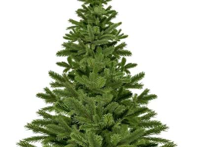 christmas-tree-1792267_1280.jpg