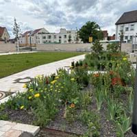 Ibelo_Platz_Ortsbegehung_05_06_2025.jpeg